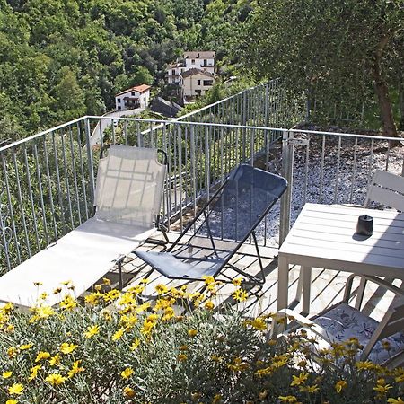 La Terrazza Con L'Ulivo - Guesthouse Con Terrazza E Vista Sul Golfo Dei Poeti Λα Σπέτσια Εξωτερικό φωτογραφία