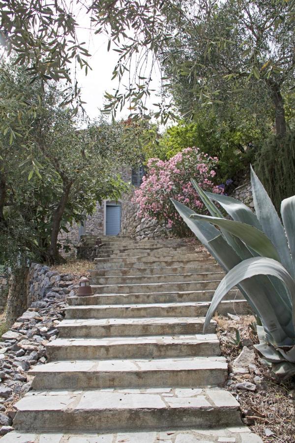 La Terrazza Con L'Ulivo - Guesthouse Con Terrazza E Vista Sul Golfo Dei Poeti Λα Σπέτσια Εξωτερικό φωτογραφία