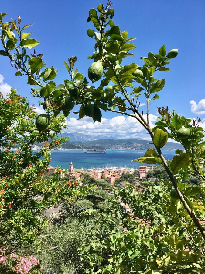 La Terrazza Con L'Ulivo - Guesthouse Con Terrazza E Vista Sul Golfo Dei Poeti Λα Σπέτσια Εξωτερικό φωτογραφία